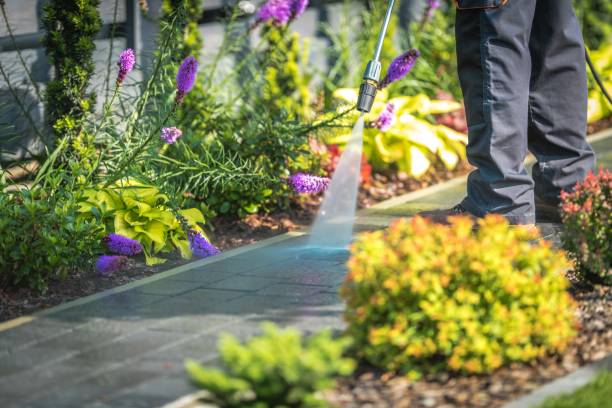 La Quinta, CA Pressure Washing Services Company